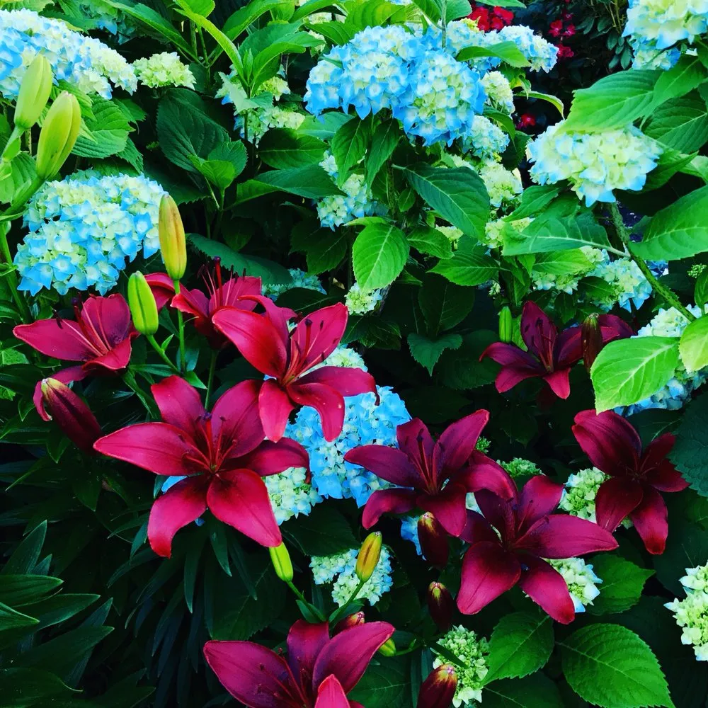 Local yard cleanup service in Portsmouth, RI - It's About Thyme Landscape