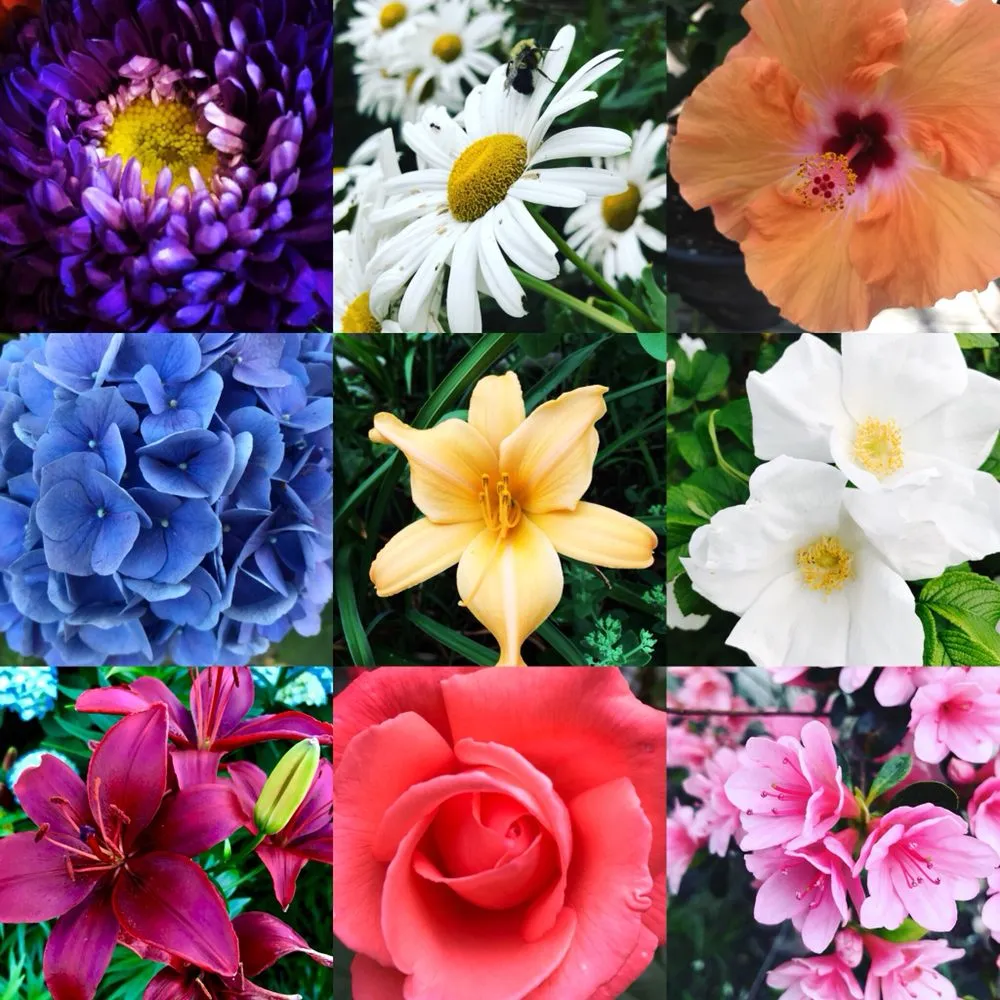 Custom garden landscaping for beautiful yards in Portsmouth, RI by It's About Thyme Landscape