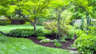 Local yard maintenance in Portsmouth, RI - It's About Thyme Landscape