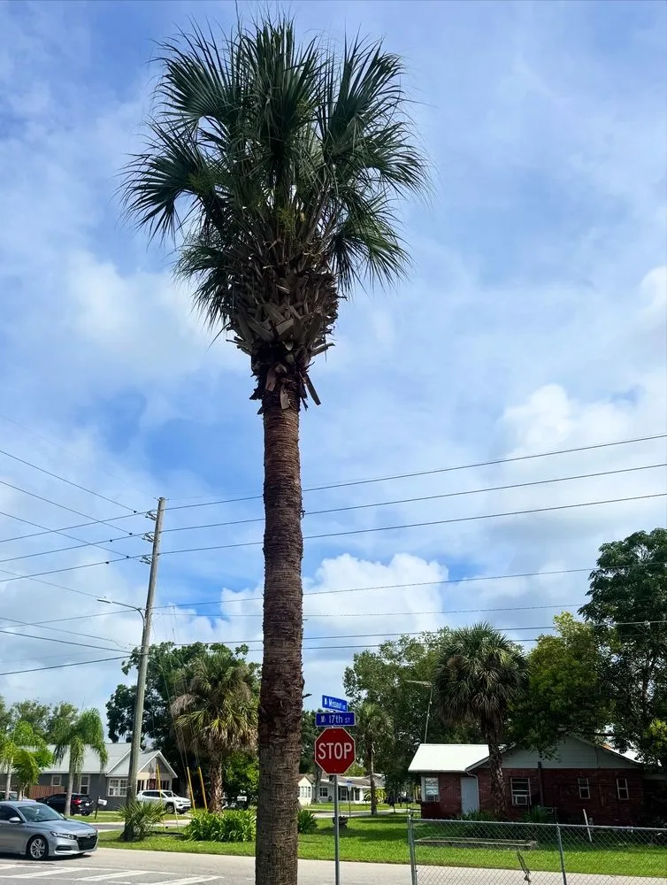 Trusted garden landscaping experts serving St. Cloud, FL - It’s Grow Time Landscaping