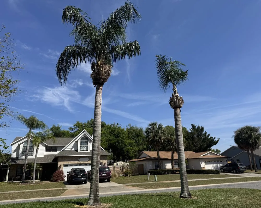 Affordable yard cleanup service experts serving St. Cloud, FL - It’s Grow Time Landscaping