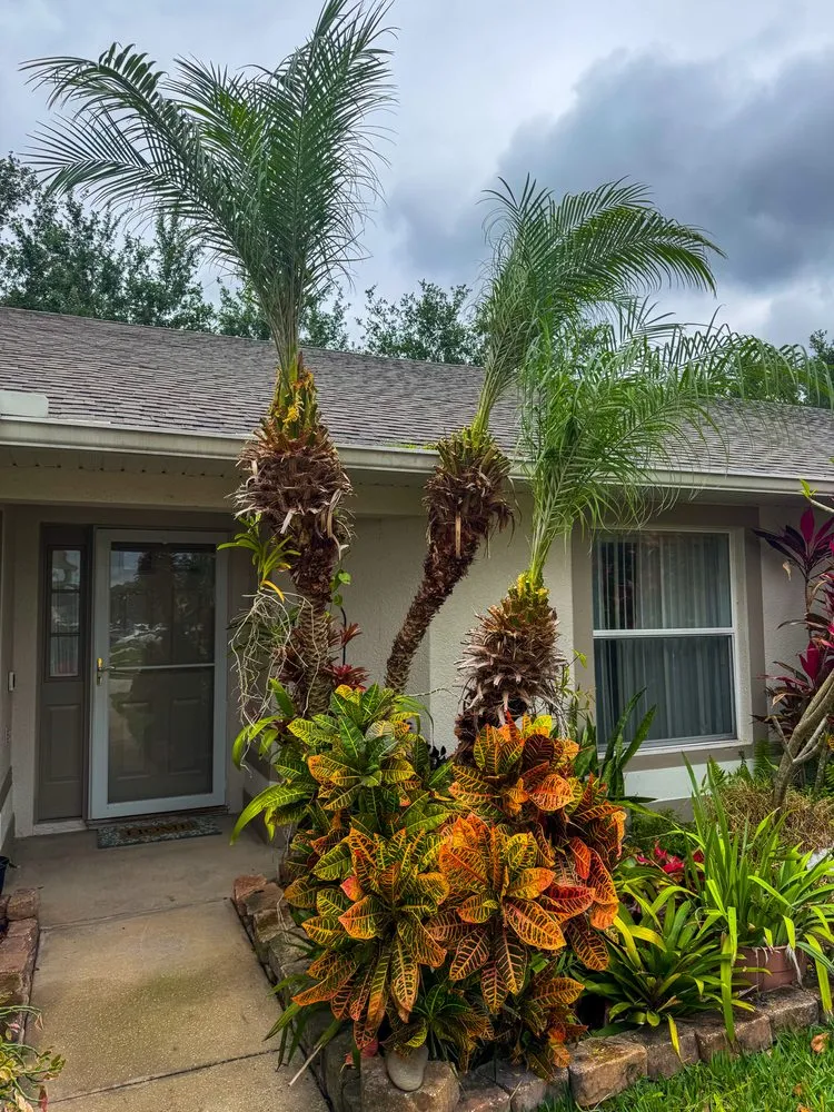 Expert lawn mowing service in St. Cloud, FL by It’s Grow Time Landscaping