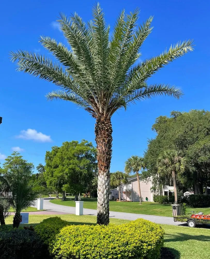Affordable landscape design in St. Cloud, FL - It’s Grow Time Landscaping