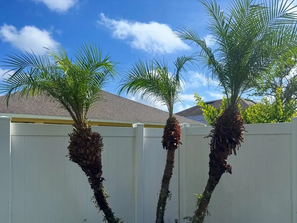 Affordable yard maintenance in St. Cloud, FL - It’s Grow Time Landscaping
