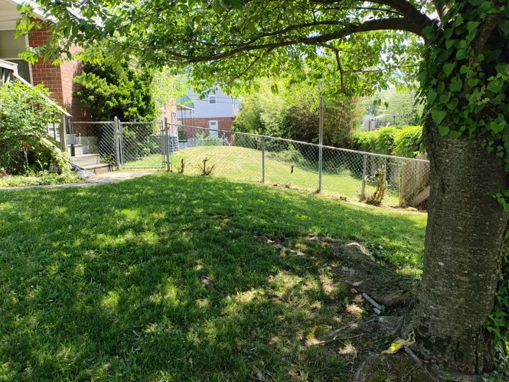 Top-rated lawn care service for year-round maintenance across Middle River, MD - Its Just Grass