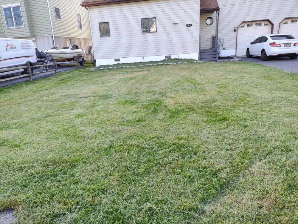 Local landscape installation for residential properties in Middle River, MD by Its Just Grass