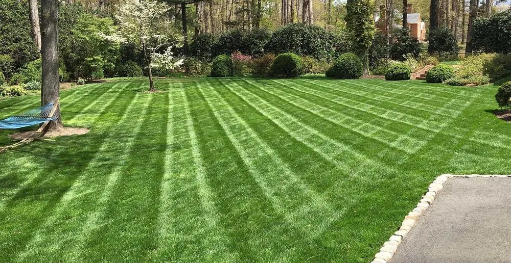 Reliable yard maintenance experts serving Statesville, NC - ITS JUST GRASS
