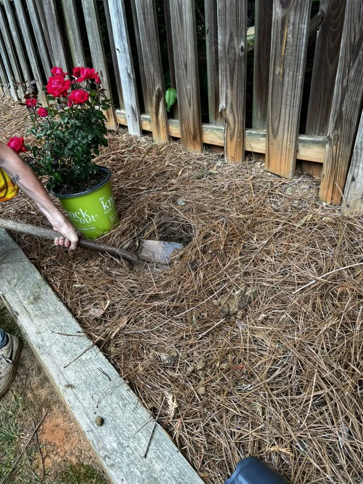 Trusted landscaping services in Statesville, NC by ITS JUST GRASS