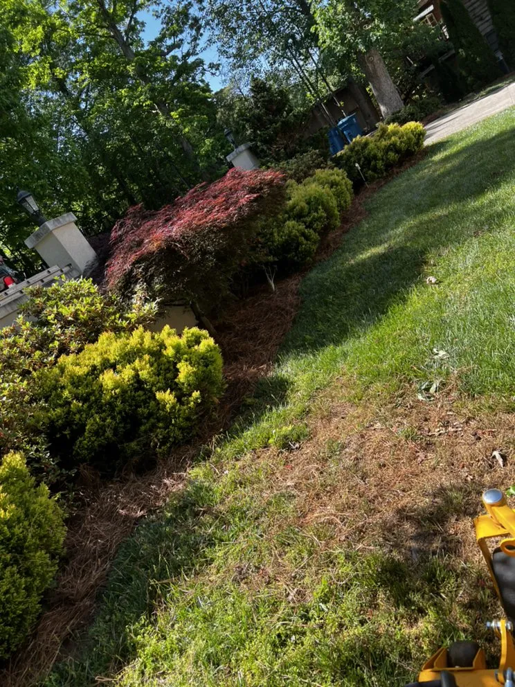 Expert yard maintenance in Statesville, NC by ITS JUST GRASS