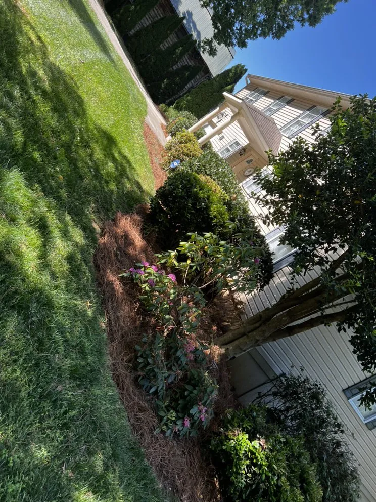 Trusted landscaping services in Statesville, NC - ITS JUST GRASS