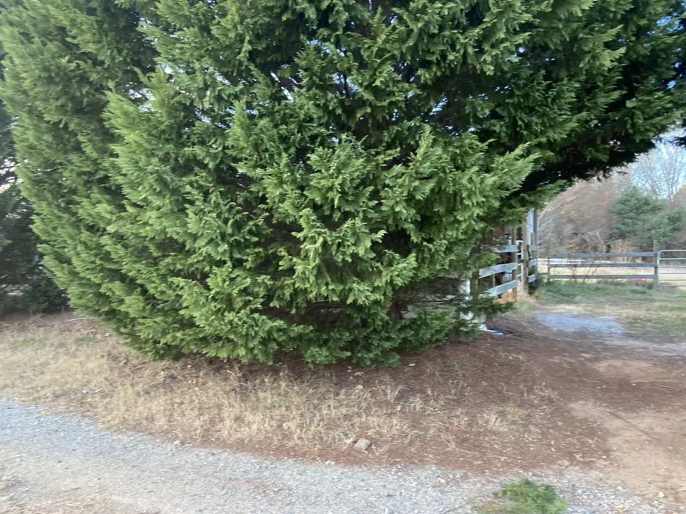 Local residential landscaping experts serving Statesville, NC - ITS JUST GRASS