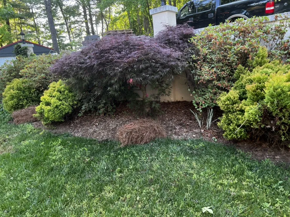 Custom yard maintenance for residential properties across Statesville, NC - ITS JUST GRASS