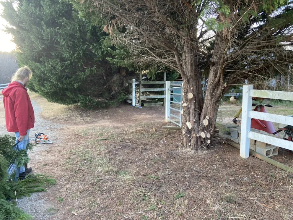 Professional outdoor landscaping for homes across Statesville, NC - ITS JUST GRASS