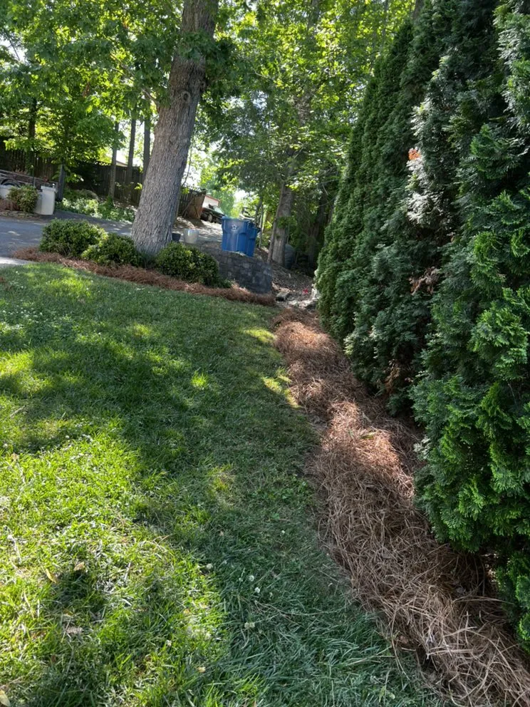 Professional lawn mowing service in Statesville, NC by ITS JUST GRASS