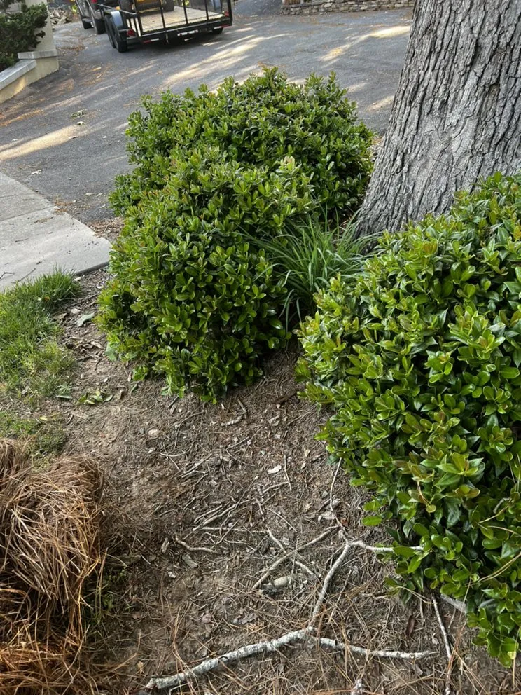 Expert landscaping services experts serving Statesville, NC - ITS JUST GRASS