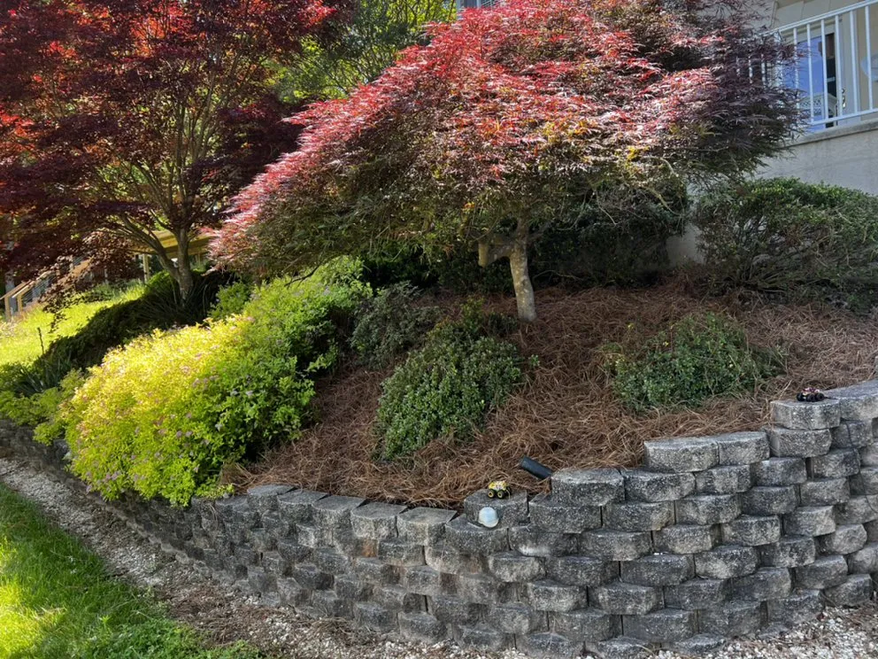 Top-rated yard cleanup service in Statesville, NC by ITS JUST GRASS