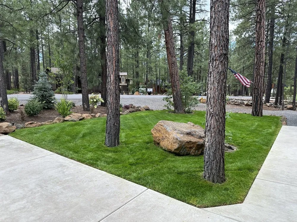 Affordable yard cleanup service for beautiful yards in Pinetop, AZ by It's Magic Landscape & Design