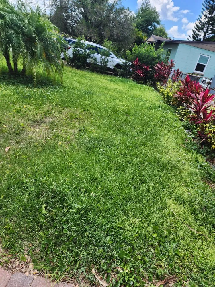 Custom residential landscaping for outdoor upgrades in Orlando, FL by Its Personal