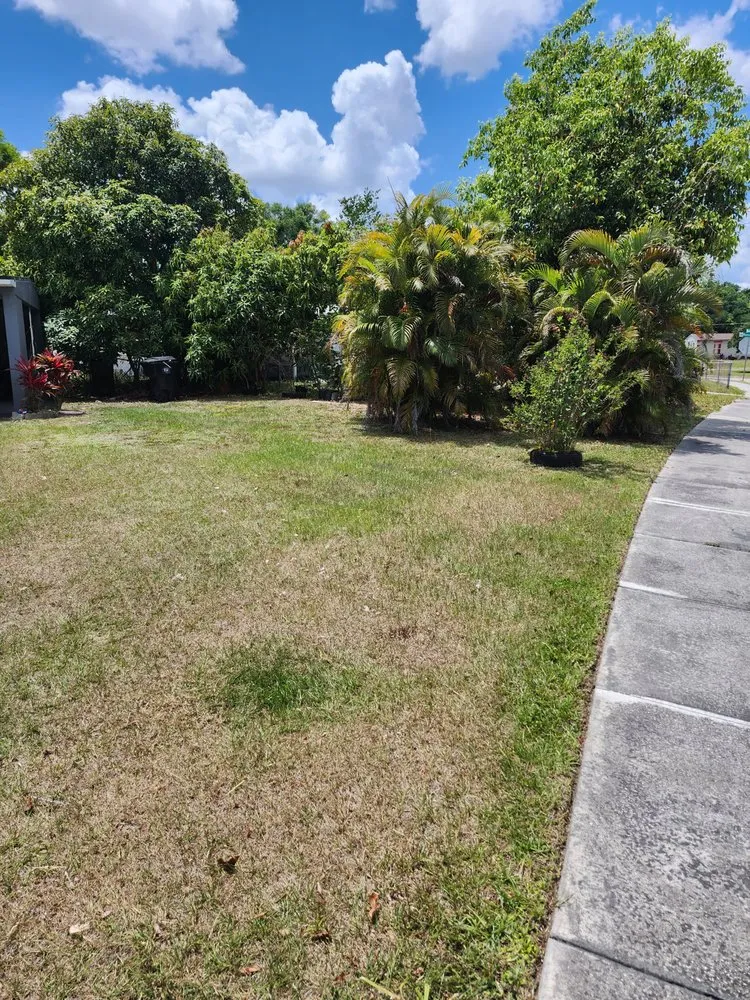 Affordable garden landscaping with custom design across Orlando, FL - Its Personal