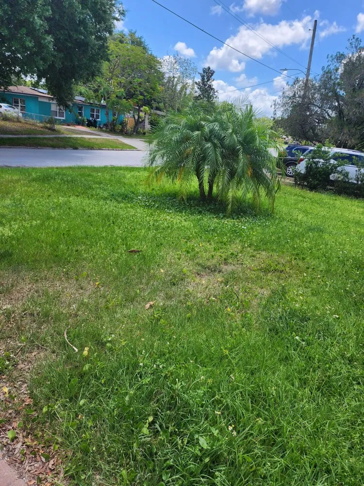 Professional outdoor landscaping for residential properties in Orlando, FL by Its Personal