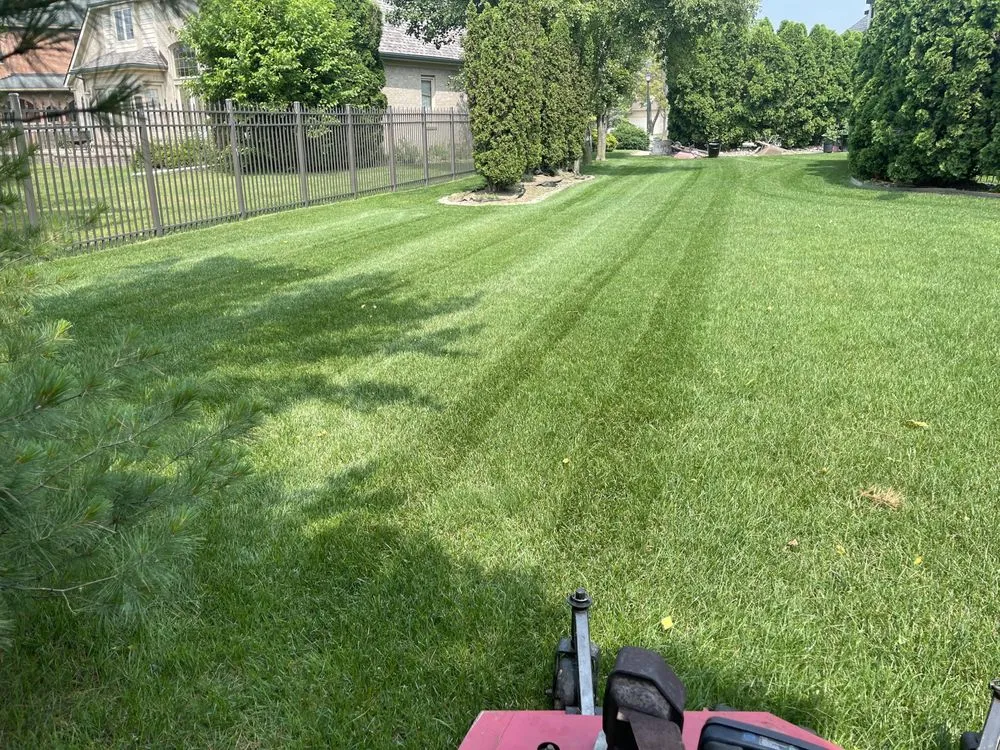 Custom lawn care service in Lincoln Park, MI - It’s time lawn care and landscape