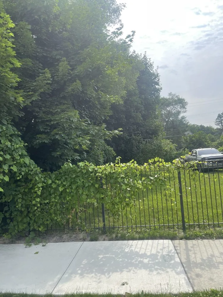 Local landscape installation in Lincoln Park, MI - It’s time lawn care and landscape