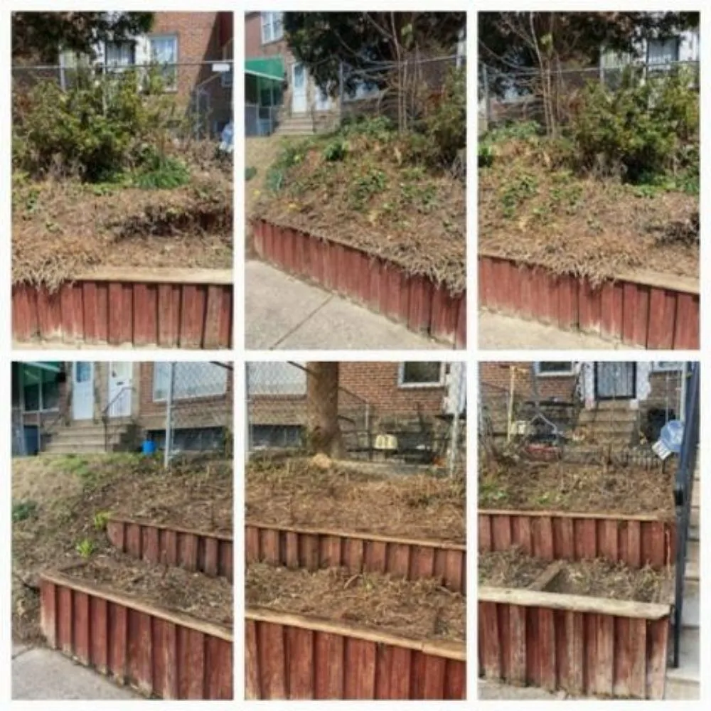 Affordable lawn mowing service for residential properties across Collingdale, PA - Its Work Folks