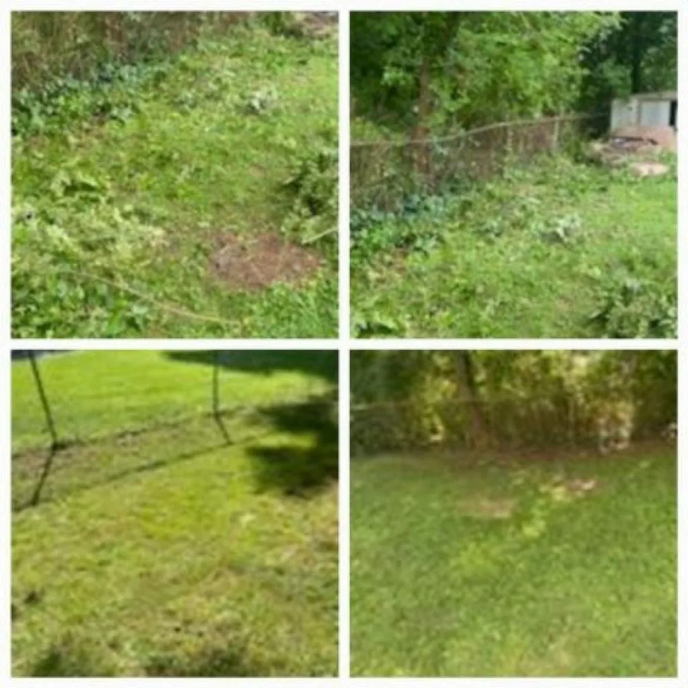 Reliable residential landscaping experts serving Collingdale, PA - Its Work Folks