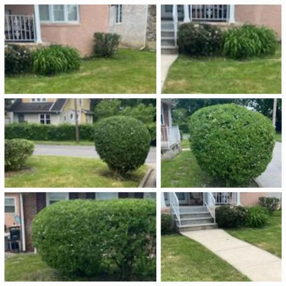 Reliable garden landscaping experts serving Collingdale, PA - Its Work Folks