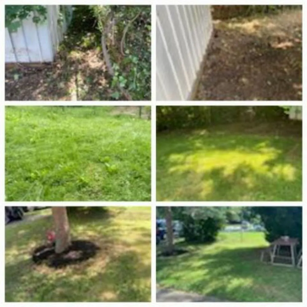 Affordable outdoor landscaping in Collingdale, PA by Its Work Folks