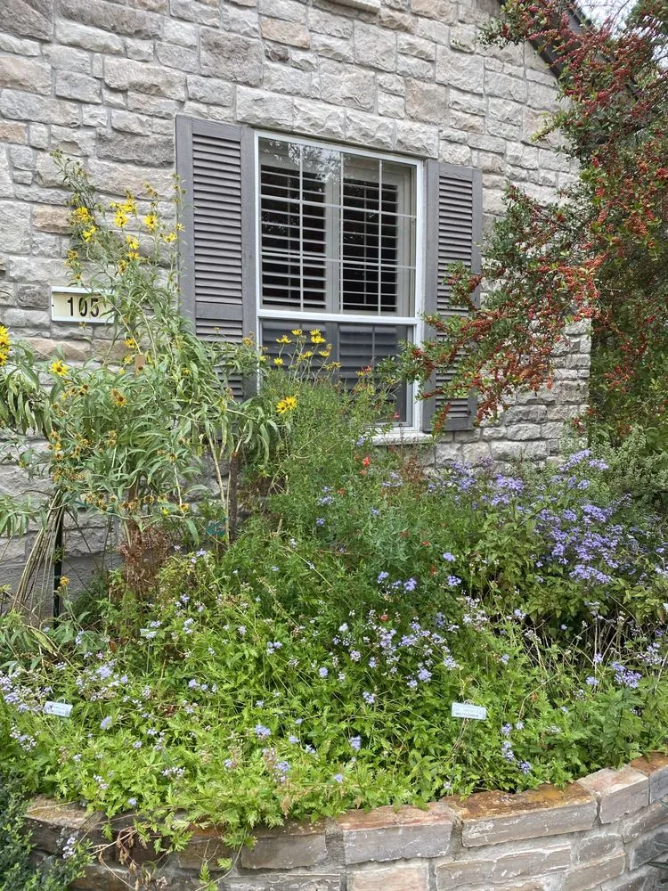 Custom yard cleanup service experts serving Georgetown, TX - It’s Your Nature