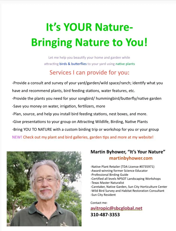 Reliable lawn mowing service in Georgetown, TX by It’s Your Nature