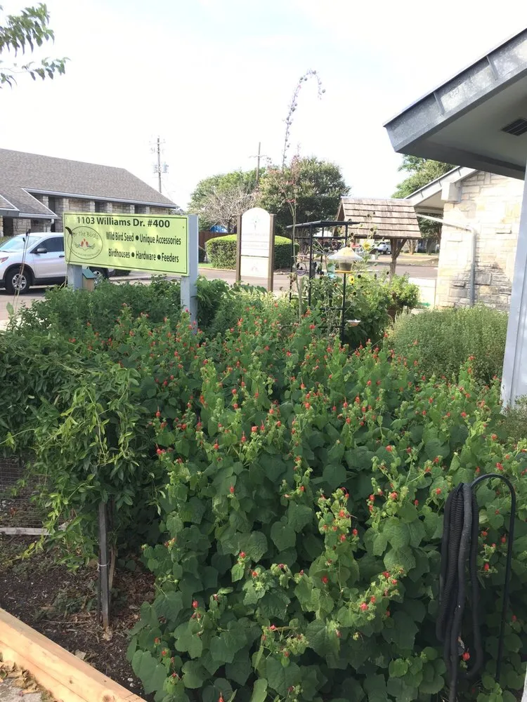 Expert landscape design experts serving Georgetown, TX - It’s Your Nature