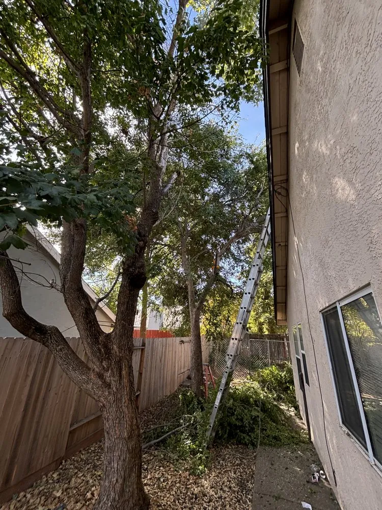 Top-rated garden landscaping for residential properties in Sacramento, CA by IV Services