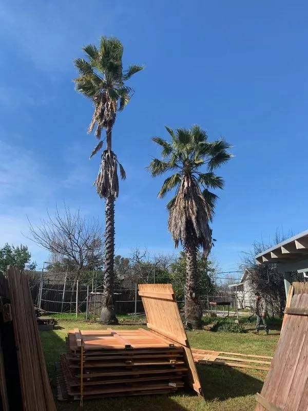 Custom yard cleanup service in Sacramento, CA - IV Services