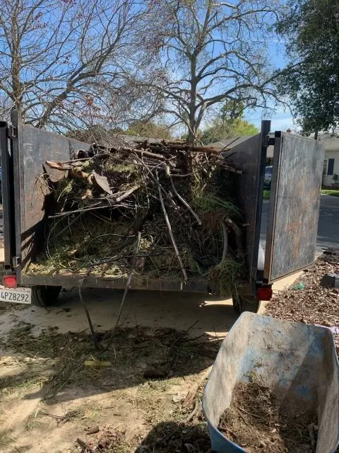 Top-rated lawn care service in Sacramento, CA - IV Services