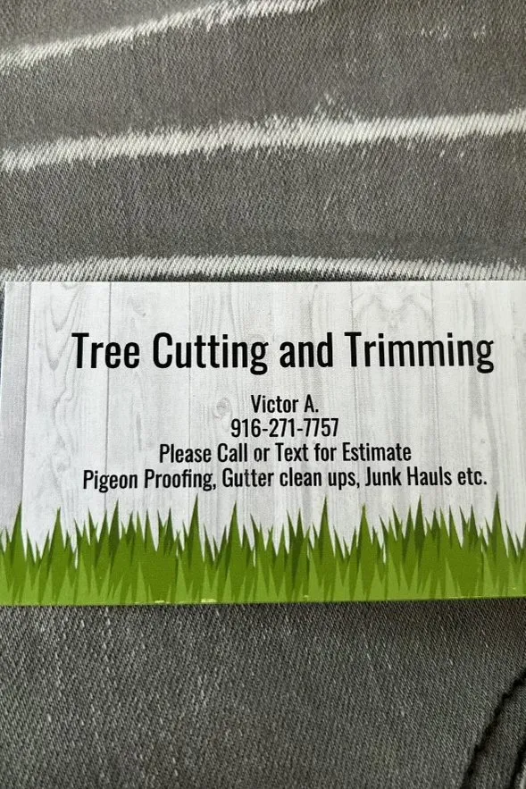 Top-rated lawn mowing service for homes in Sacramento, CA by IV Services