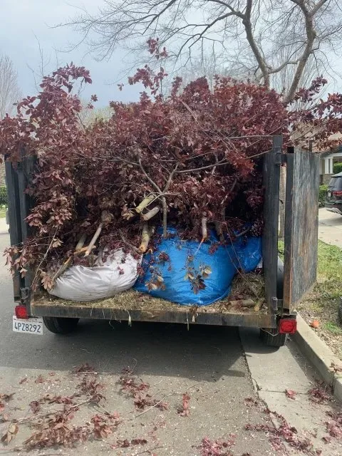 Expert lawn mowing service near you across Sacramento, CA - IV Services