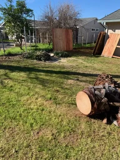 Custom landscape installation for residential properties in Sacramento, CA by IV Services