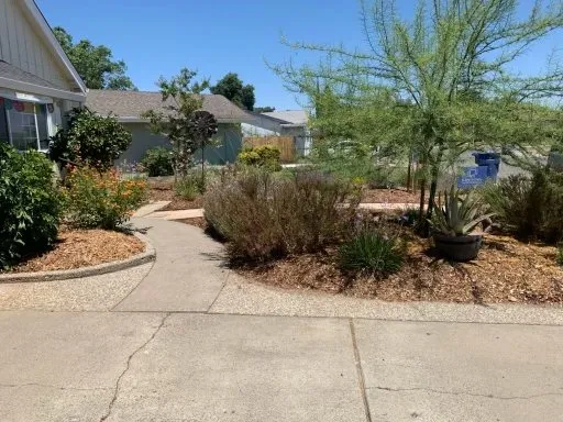 Top-rated yard cleanup service in Sacramento, CA by IV Services