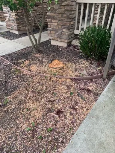 Expert landscape design with custom design in Sacramento, CA by IV Services