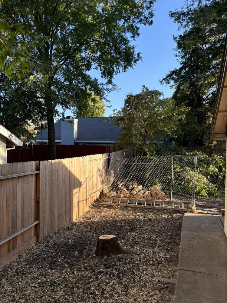 Affordable lawn care service for beautiful yards across Sacramento, CA - IV Services