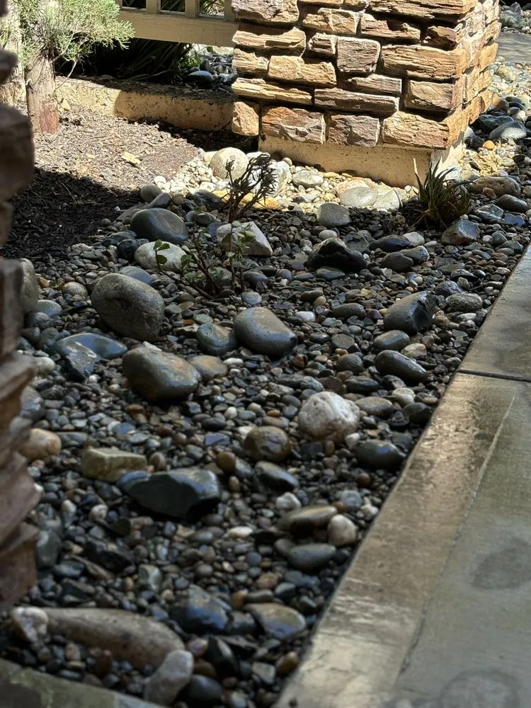 Expert landscape installation in Sacramento, CA by IV Services