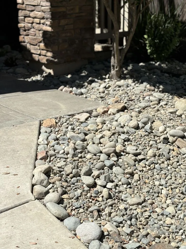 Reliable yard cleanup service in Sacramento, CA by IV Services