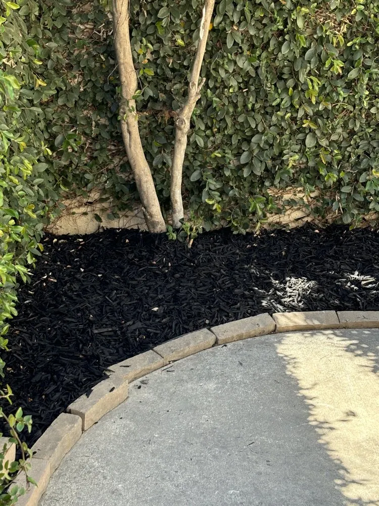 Expert landscaping services in Sacramento, CA by IV Services