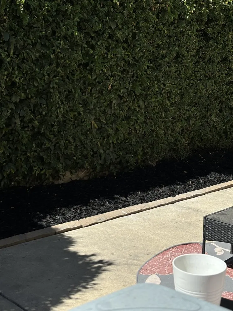 Reliable landscape installation for year-round maintenance in Sacramento, CA by IV Services