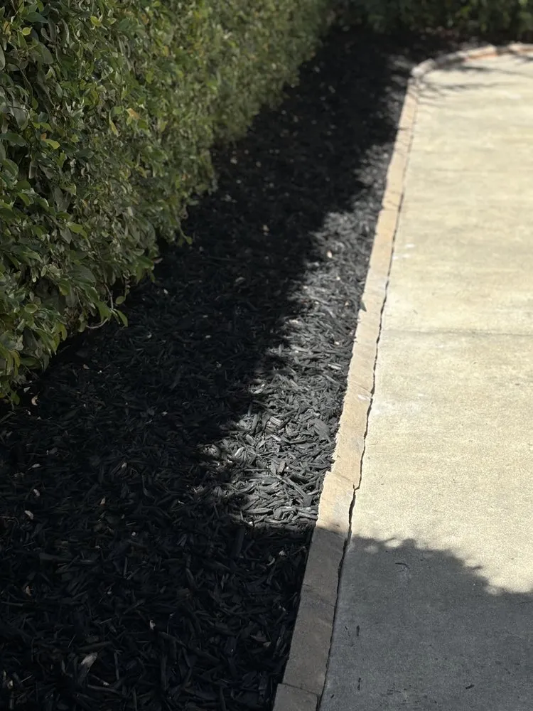 Top-rated yard maintenance experts serving Sacramento, CA - IV Services