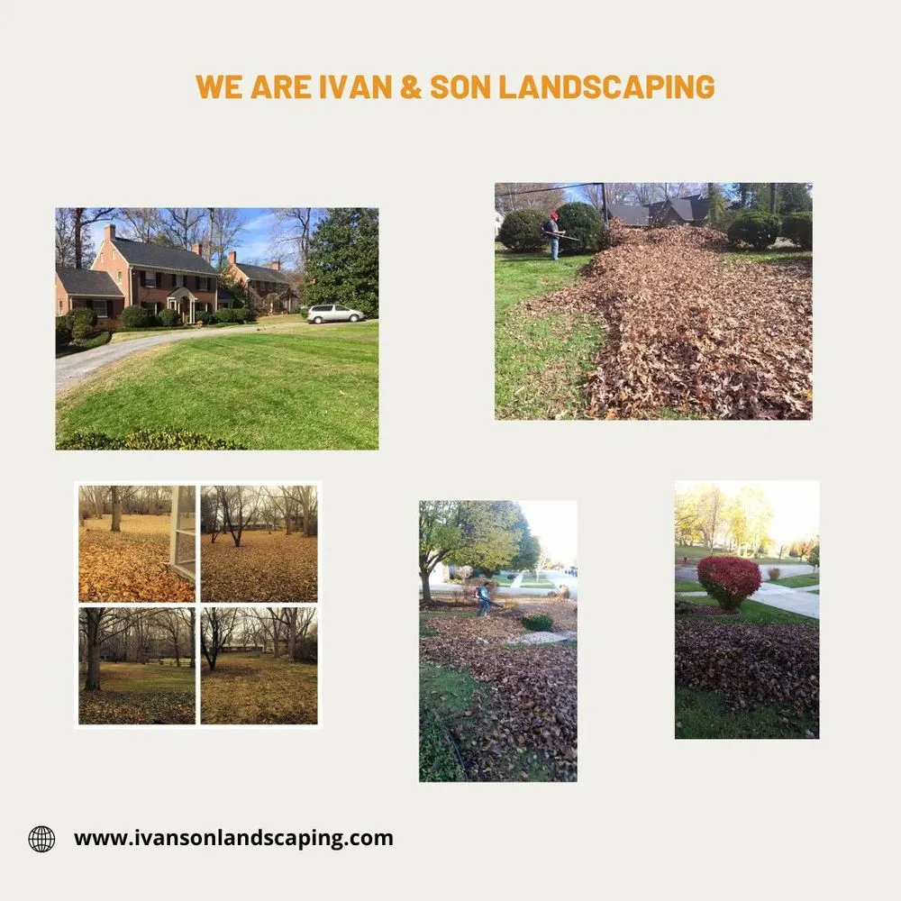 Affordable garden landscaping for beautiful yards across Elgin, IL - Ivan & Son's Landscaping and Tree Services