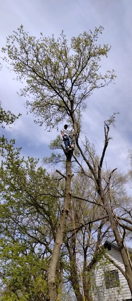 Reliable landscaping services in Elgin, IL - Ivan & Son's Landscaping and Tree Services