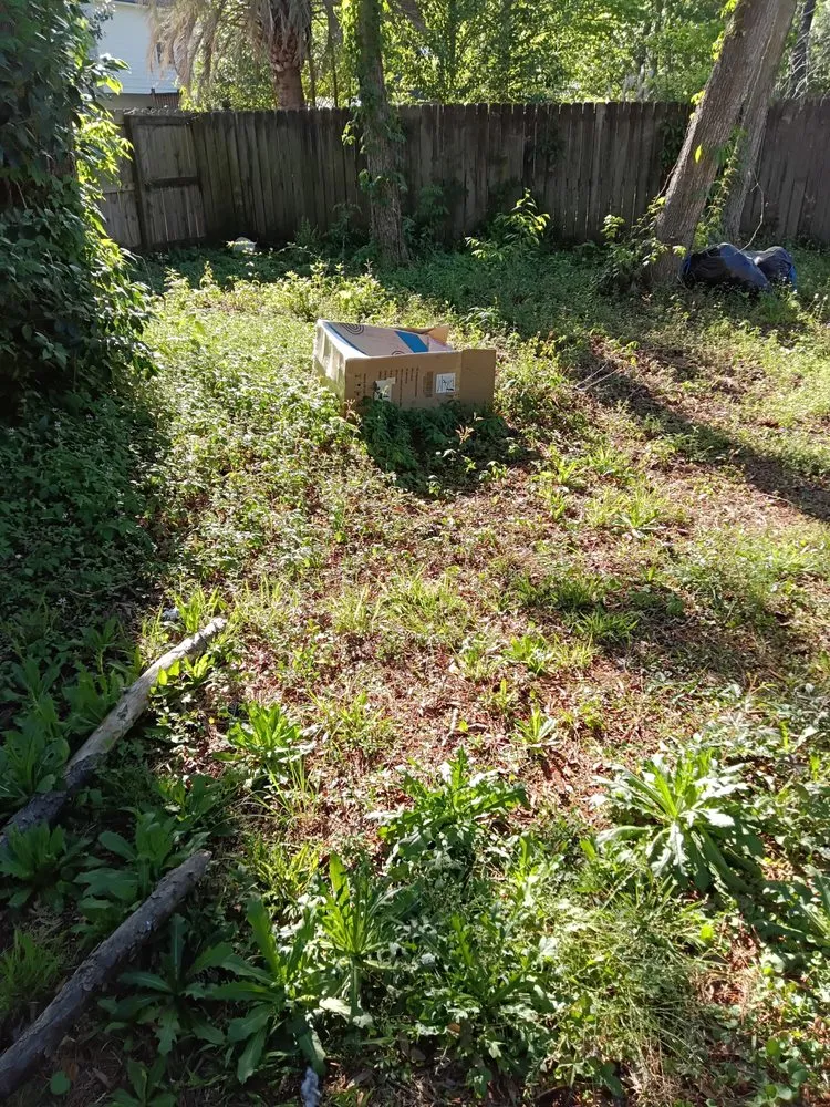 Reliable landscape installation experts serving Summerville, SC - Ivan & Sons